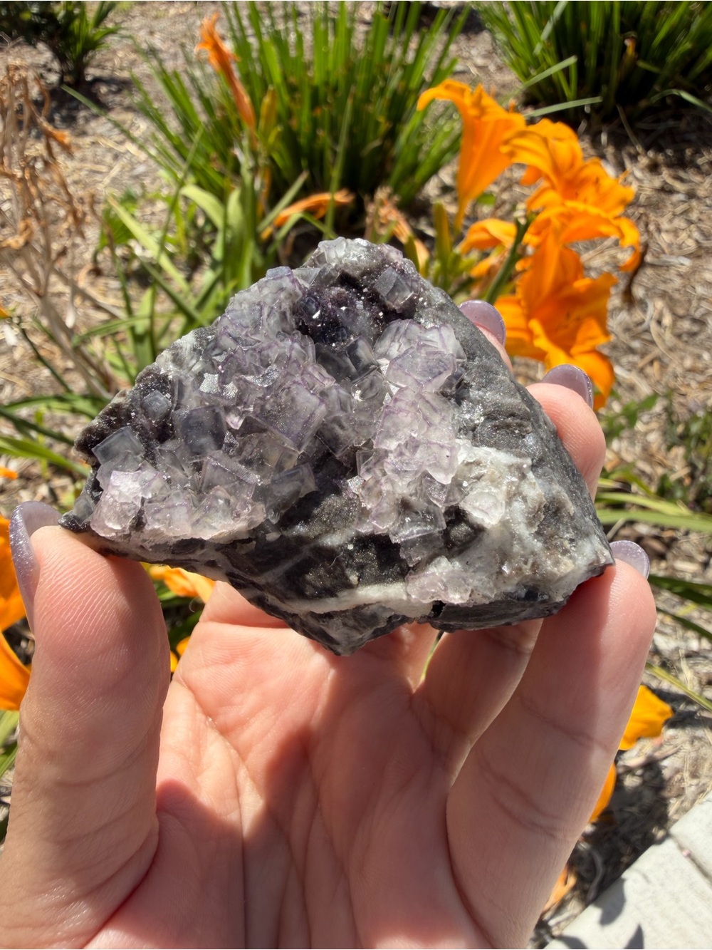 Purple Edge Fluorite Cluster on Matrix,Cubic Fluorite Mineral Specimen,A576